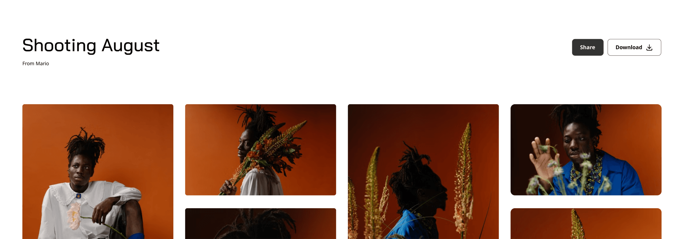 A courmo client gallery titled 'Shooting August' with a masonry photo grid and Share/Download buttons